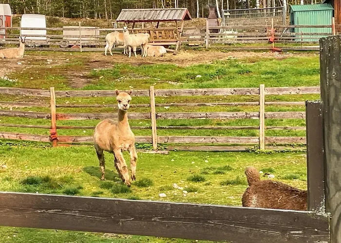 2 Bedroom Awesome In Grue Finnskog Semesterbostad *