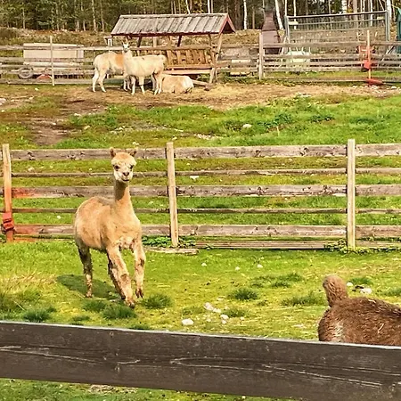 2 Bedroom Awesome In Grue Finnskog Feriehus *